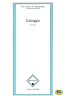 Carteggio (1877 - 1897)