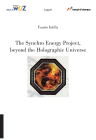 The synchro energy  project, beyond the holographic universe