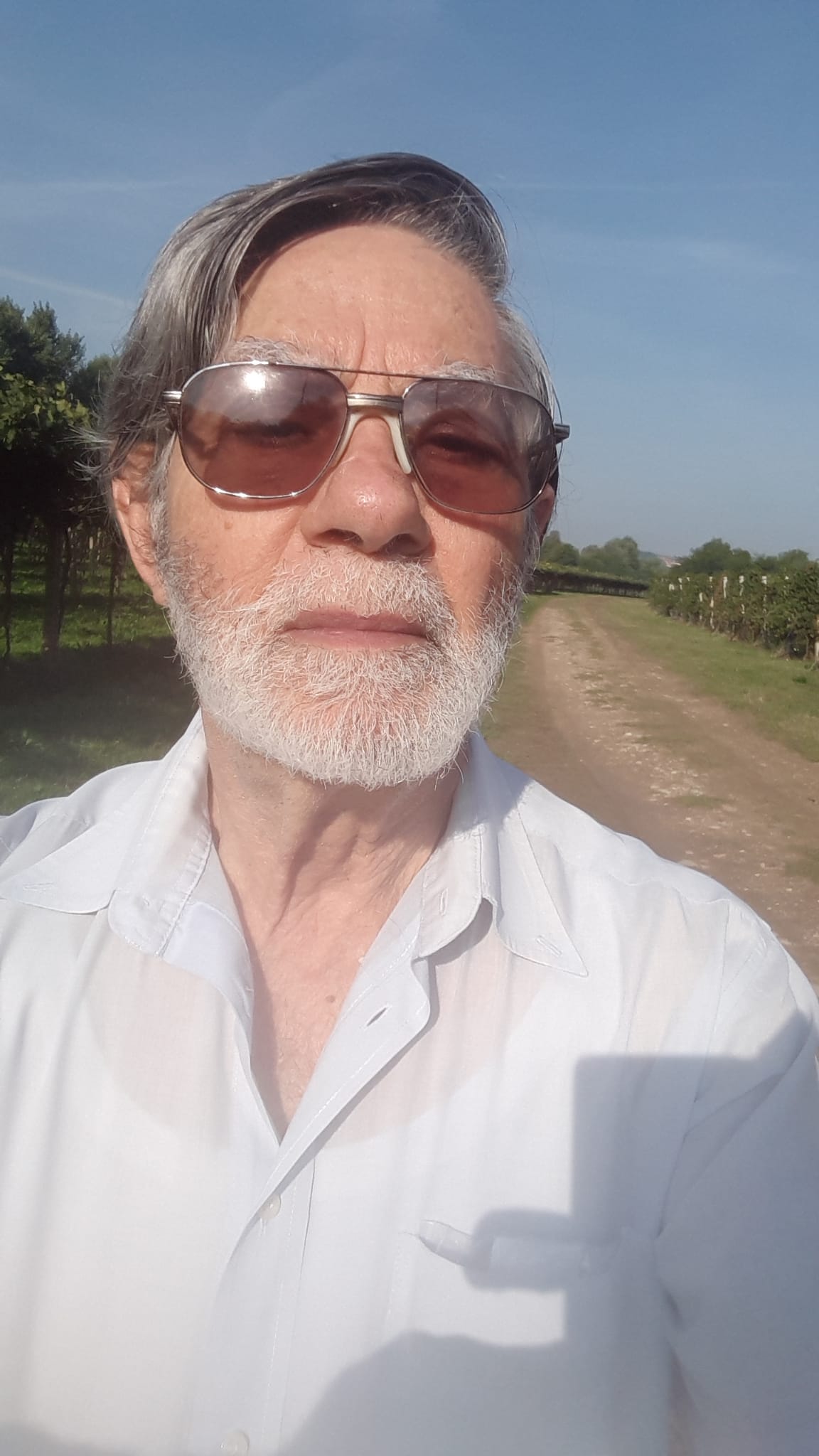 Domenico Grillo